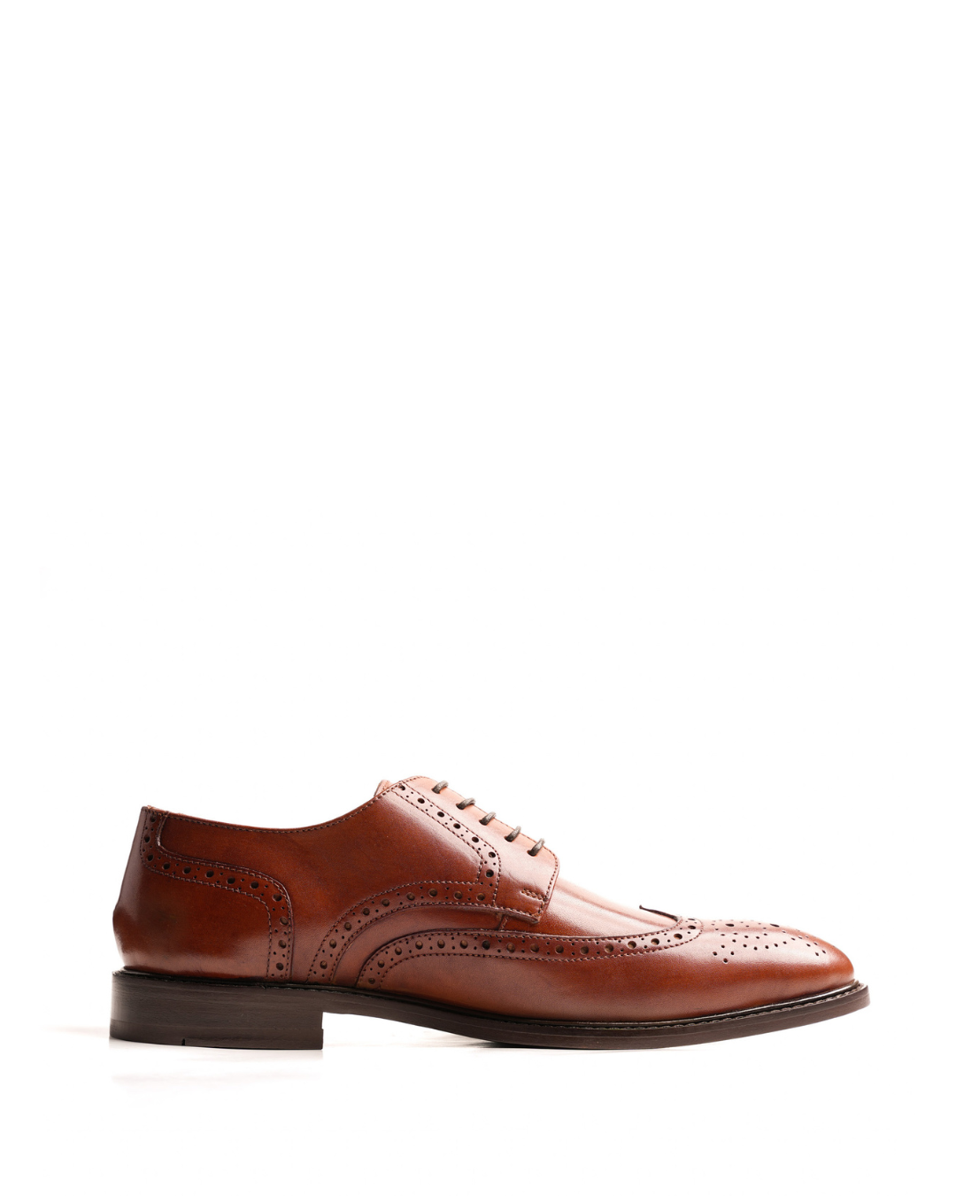 Wingtip Derby Shoe - Brown